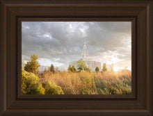 Load image into Gallery viewer, Payson Sunflowers