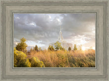 Load image into Gallery viewer, Payson Sunflowers