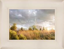 Load image into Gallery viewer, Payson Sunflowers