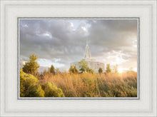 Load image into Gallery viewer, Payson Sunflowers