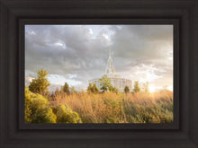 Load image into Gallery viewer, Payson Sunflowers