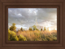 Load image into Gallery viewer, Payson Sunflowers