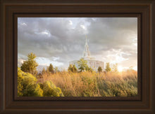 Load image into Gallery viewer, Payson Sunflowers