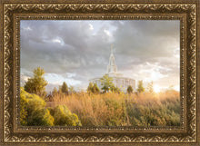 Load image into Gallery viewer, Payson Sunflowers