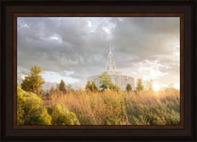 Load image into Gallery viewer, Payson Sunflowers