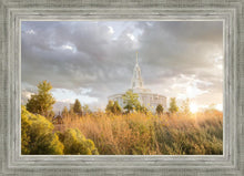 Load image into Gallery viewer, Payson Sunflowers