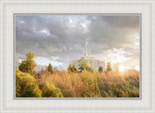 Load image into Gallery viewer, Payson Sunflowers