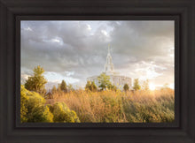 Load image into Gallery viewer, Payson Sunflowers