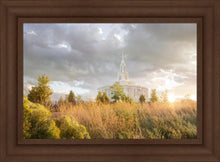 Load image into Gallery viewer, Payson Sunflowers