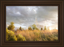 Load image into Gallery viewer, Payson Sunflowers