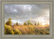 Load image into Gallery viewer, Payson Sunflowers