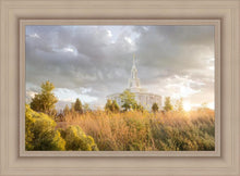 Load image into Gallery viewer, Payson Sunflowers