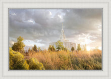 Load image into Gallery viewer, Payson Sunflowers