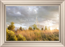 Load image into Gallery viewer, Payson Sunflowers