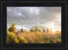 Load image into Gallery viewer, Payson Sunflowers