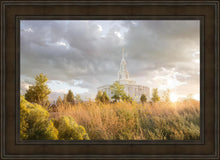 Load image into Gallery viewer, Payson Sunflowers