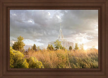 Load image into Gallery viewer, Payson Sunflowers