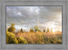 Load image into Gallery viewer, Payson Sunflowers
