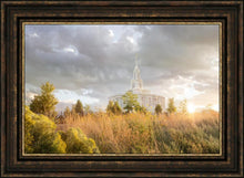 Load image into Gallery viewer, Payson Sunflowers