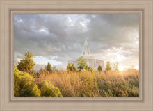 Load image into Gallery viewer, Payson Sunflowers