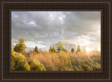 Load image into Gallery viewer, Payson Sunflowers