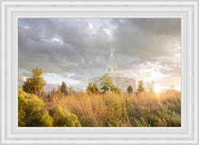 Load image into Gallery viewer, Payson Sunflowers