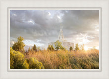 Load image into Gallery viewer, Payson Sunflowers
