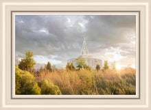 Load image into Gallery viewer, Payson Sunflowers