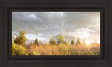 Load image into Gallery viewer, Payson Sunflowers