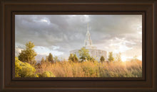 Load image into Gallery viewer, Payson Sunflowers