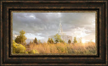 Load image into Gallery viewer, Payson Sunflowers