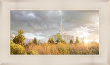 Load image into Gallery viewer, Payson Sunflowers