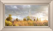 Load image into Gallery viewer, Payson Sunflowers