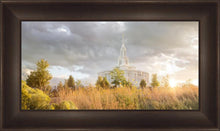 Load image into Gallery viewer, Payson Sunflowers