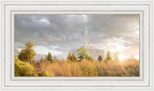 Load image into Gallery viewer, Payson Sunflowers