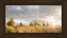 Load image into Gallery viewer, Payson Sunflowers