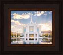 Load image into Gallery viewer, Ogden the Miracle is Coming