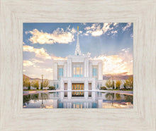Load image into Gallery viewer, Ogden the Miracle is Coming