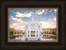Load image into Gallery viewer, Ogden the Miracle is Coming