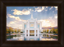 Load image into Gallery viewer, Ogden the Miracle is Coming
