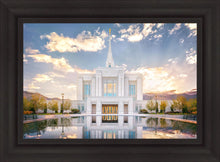 Load image into Gallery viewer, Ogden the Miracle is Coming
