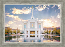 Load image into Gallery viewer, Ogden the Miracle is Coming