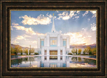 Load image into Gallery viewer, Ogden the Miracle is Coming