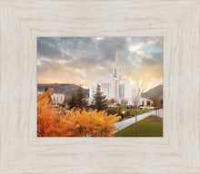Load image into Gallery viewer, Ogden Fall
