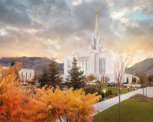 Load image into Gallery viewer, Ogden Fall