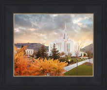 Load image into Gallery viewer, Ogden Fall