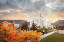 Load image into Gallery viewer, Ogden Fall