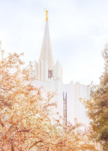 Load image into Gallery viewer, Jordan River Spring Blossoms
