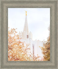 Load image into Gallery viewer, Jordan River Spring Blossoms