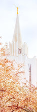 Load image into Gallery viewer, Jordan River Spring Blossoms